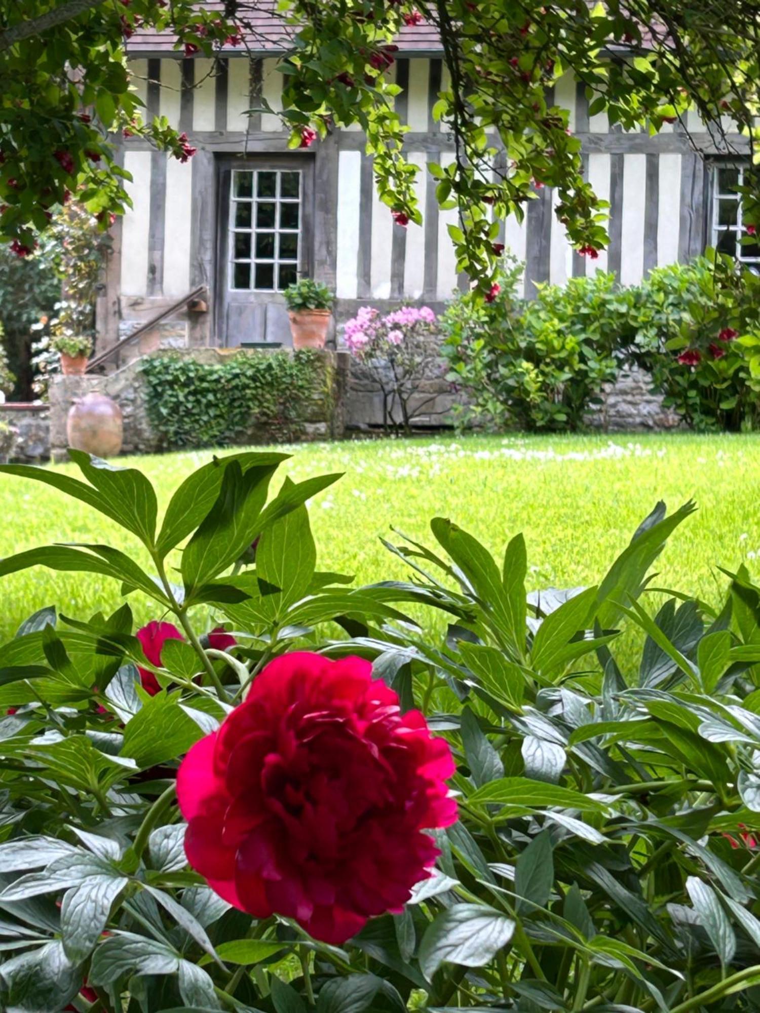 Les Hortensias Manerbe 外观 照片